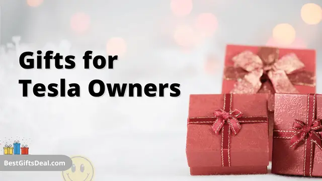 Gifts for Tesla Owners